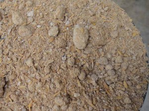 発酵が止まった米ぬか堆肥