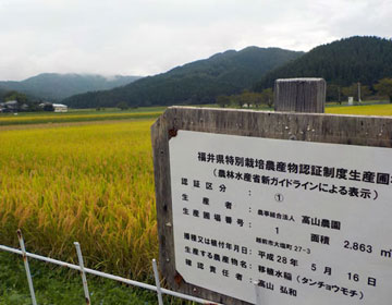 お米の安全性