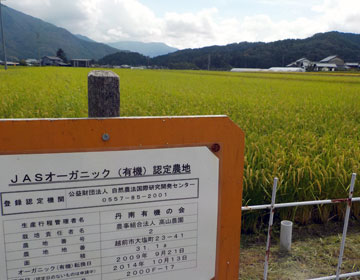 お米の特徴